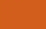 Краска для сколов во флаконе с кисточкой RENAULT TRUCKS, цвет - CARRS BILLINGTON ORANGE