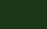 Краска для сколов во флаконе с кисточкой RENAULT TRUCKS, цвет - FODEN BRITISH RACING GREEN