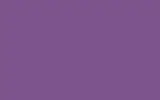 Краска для сколов во флаконе с кисточкой RENAULT TRUCKS, цвет - 6MURTAGH PURPLE