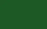 Краска для сколов во флаконе с кисточкой RENAULT TRUCKS, цвет - HEINEKEN GREEN