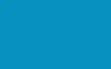 Краска для сколов во флаконе с кисточкой RENAULT TRUCKS, цвет - ROGER DYSON BLUE