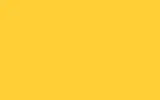 Аэрозольная краска SMART, цвет FORD 2742A - INDIAN YELLOW TAILOR MADE