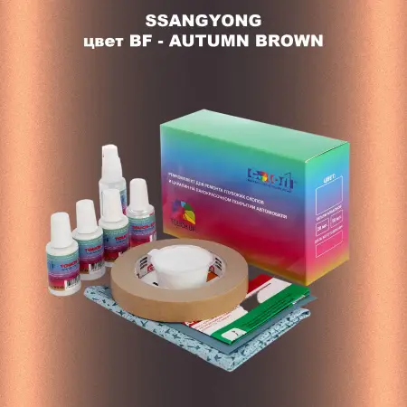 Ремкомплект для ремонта глубоких сколов и царапин SSANGYONG, цвет BF - AUTUMN BROWN