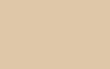 Краска для сколов во флаконе с кисточкой SUBARU, цвет 748/48 - MAPLE BEIGE