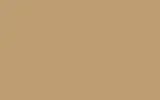 Краска для сколов во флаконе с кисточкой SUBARU, цвет 254/54 - HARVEST BEIGE