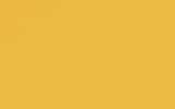 Краска для сколов во флаконе с кисточкой SUZUKI, цвет 36558 - AVIGNON YELLOW