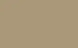 Краска для сколов во флаконе с кисточкой TOYOTA, цвет 4000000000 - BEIGE