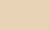 Аэрозольная краска TOYOTA TRUCKS, цвет 4D1 - SHELL BEIGE