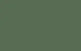 Аэрозольная краска VOLVO TRUCKS, цвет S98741 - STANDARD GREEN DB6277