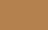Автомобильная краска VOLVO TRUCKS, цвет S98533 - BROWN BEIGE RAL1011-GL