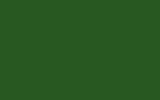 Автомобильная краска VOLVO TRUCKS, цвет S98647 - LEAVE GREEN RAL6002-GL