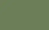 Аэрозольная краска VOLVO TRUCKS, цвет S98749 - RESEDA GREEN RAL6011-GL