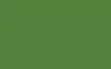 Аэрозольная краска VOLVO TRUCKS, цвет S98742 - GREEN RAL6017-GL