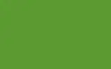 Автомобильная краска VOLVO TRUCKS, цвет S98641 - GREEN RAL6018-GL