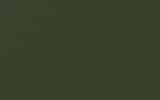 Автомобильная краска VOLVO TRUCKS, цвет S98843 - CROME GREEN RAL6020