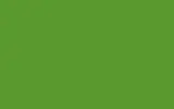 Краска для сколов во флаконе с кисточкой VOLVO TRUCKS, цвет 1415 - YELLOW GREEN RAL6018-GL