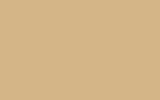 Краска для сколов во флаконе с кисточкой VOLVO TRUCKS, цвет 91105 - BEIGE