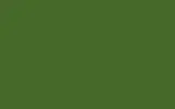 Автомобильная краска VOLVO TRUCKS, цвет S91440 - GRASS GREEN RAL6010