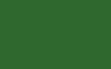 Автомобильная краска VOLVO TRUCKS, цвет S97285 - EMERALD GREEN RAL6001