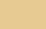 Автомобильная краска VOLVO TRUCKS, цвет S97196 - PALE CREAM 0102 FLUK ICI