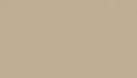 Аэрозольная краска VOLKSWAGEN, цвет LB1N - REED BEIGE