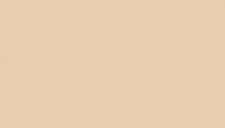 Аэрозольная краска VOLKSWAGEN, цвет LD1M - DUBAI TAXI CORP. BEIGE