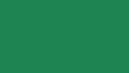 Аэрозольная краска VOLKSWAGEN, цвет LD6E - SALSA GREEN