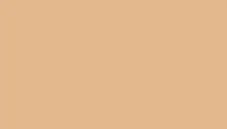 Аэрозольная краска VOLKSWAGEN, цвет LL1M - BASTBEIGE