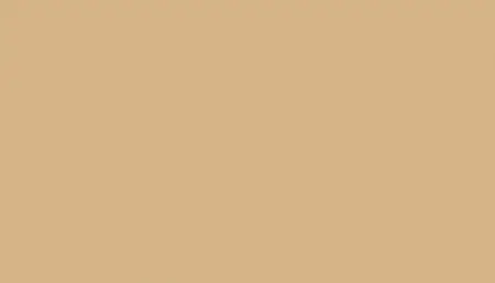 Автомобильная краска VOLKSWAGEN, цвет R101 - BEIGE RAL1001-GL