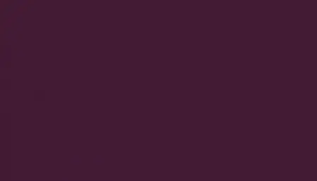 Краска для сколов во флаконе с кисточкой VOLKSWAGEN, цвет R407 - PURPURVIOLETT RAL4007-GL