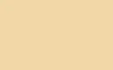 Маркер с краской FORD, цвет 6405 (NL) - TUSCAN YELLOW