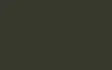 Маркер с краской FORD, цвет RSS - BLACK OLIVE RAL6015-HR