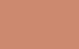 Маркер с краской FORD, цвет QXS - BEIGE RED