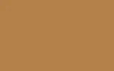 Маркер с краской FORD, цвет SVO264 - BROWN BEIGE