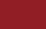 Маркер с краской FORD, цвет - LIGHT RED