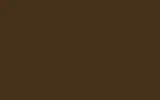 Краска для сколов во флаконе с кисточкой VOLVO TRUCKS, цвет S98631 - DK BROWN RAL8014-GL