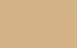 Краска для сколов во флаконе с кисточкой VOLVO TRUCKS, цвет S91105 - LIGHT BEIGE RAL1001