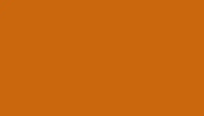 Аэрозольная краска VOLKSWAGEN, цвет 227 - TARGA ORANGE