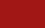 Краска для сколов во флаконе с кисточкой FORD, цвет SVO292 - CARMINE RED RAL3002