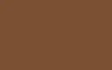 Краска для сколов во флаконе с кисточкой VOLVO TRUCKS, цвет S98632 - LIGHT BROWN RAL8024-GL