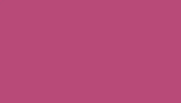 Краска для сколов во флаконе с кисточкой VOLKSWAGEN, цвет - BARBIE PINK