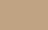 Краска для сколов во флаконе с кисточкой TOYOTA, цвет 40000 - GREYISH YELLOW/BEIGE