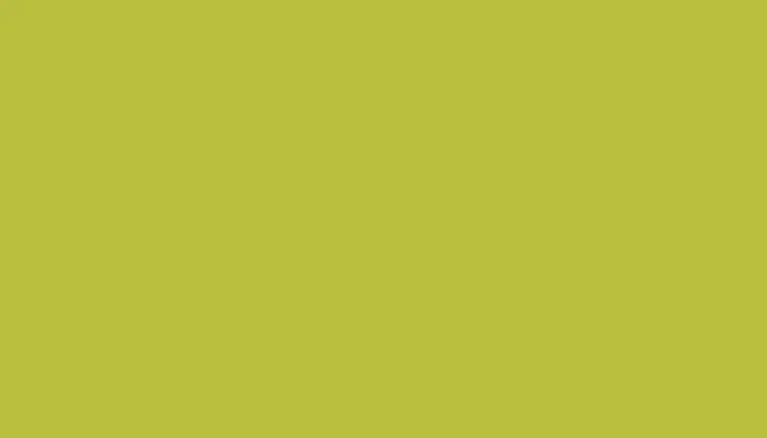 Краска для сколов во флаконе с кисточкой MERCEDES, цвет 978 - LIME GREEN/ENERGY GREEN