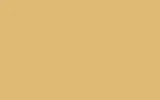 Краска для сколов во флаконе с кисточкой SKODA, цвет 2021 - YELLOW/CHAMPAGNE BEIGE