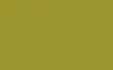 Аэрозольная краска OPEL, цвет 30L - MAMBA GREEN/GRUEN