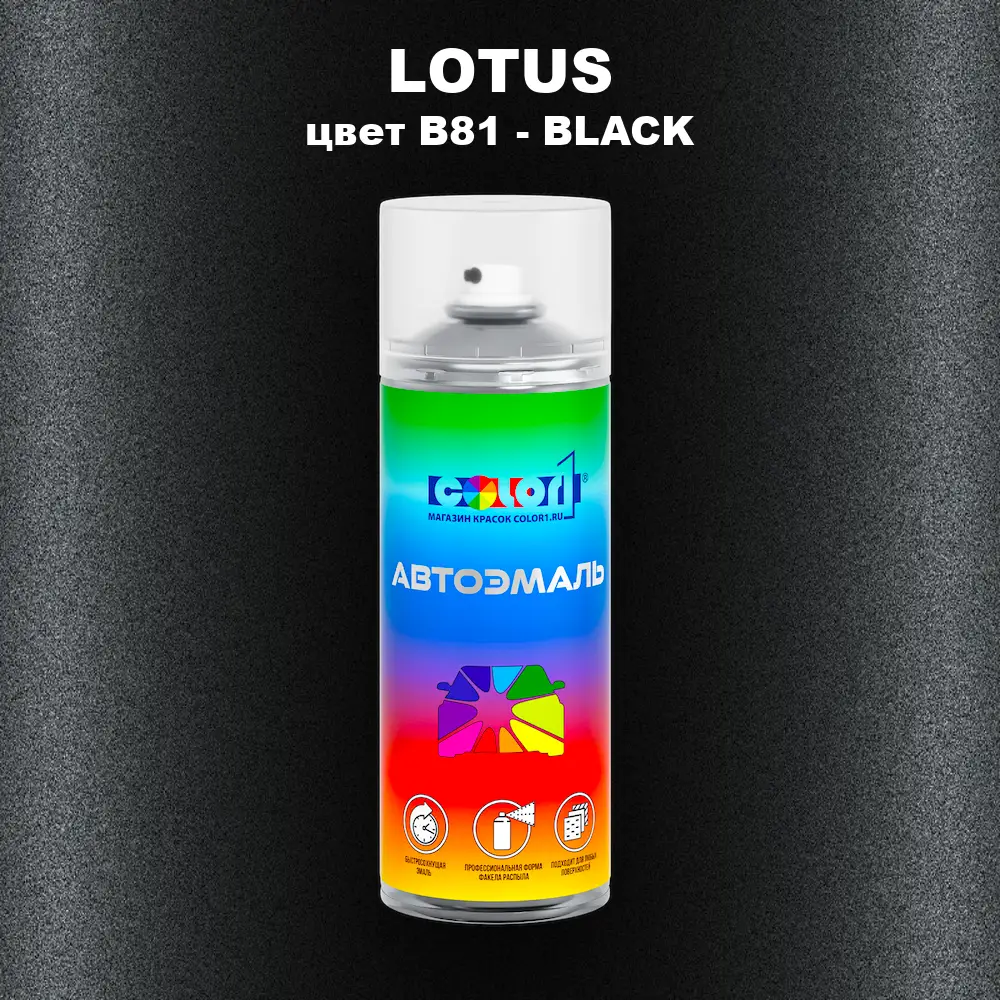 Аэрозольная краска LOTUS, цвет B81 - BLACK
