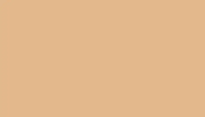 Аэрозольная краска VOLKSWAGEN, цвет LL1M - BASTBEIGE
