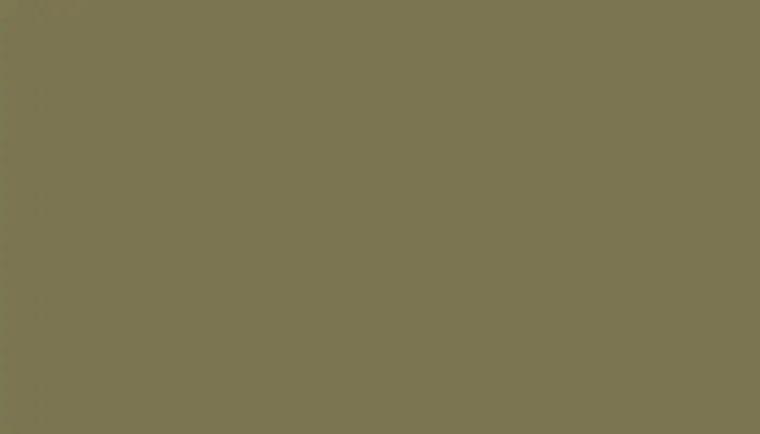 Краска для сколов во флаконе с кисточкой TOYOTA, цвет 6L4 - LIGHT GREEN/OLIVE
