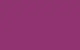 Краска для сколов во флаконе с кисточкой FORD, цвет CBT - TRAFFIC PURPLE 4006-GL