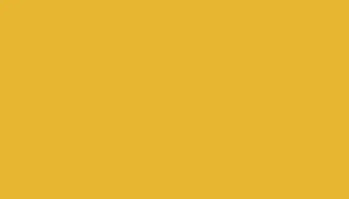 Краска для сколов во флаконе с кисточкой FIAT, цвет 509A - GIALLO AGIP/BIRICHINO